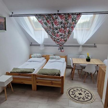 Zielona Ostoja Ulica Szpitalna 3C Apartment Kamieniec Ząbkowicki Exterior foto