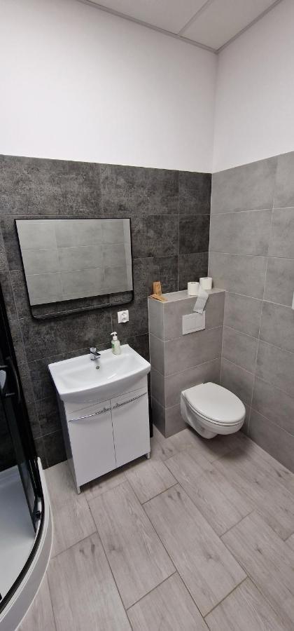 Zielona Ostoja Ulica Szpitalna 3C Apartment Kamieniec Ząbkowicki Exterior foto